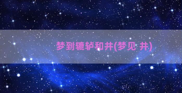 梦到辘轳和井(梦见 井)